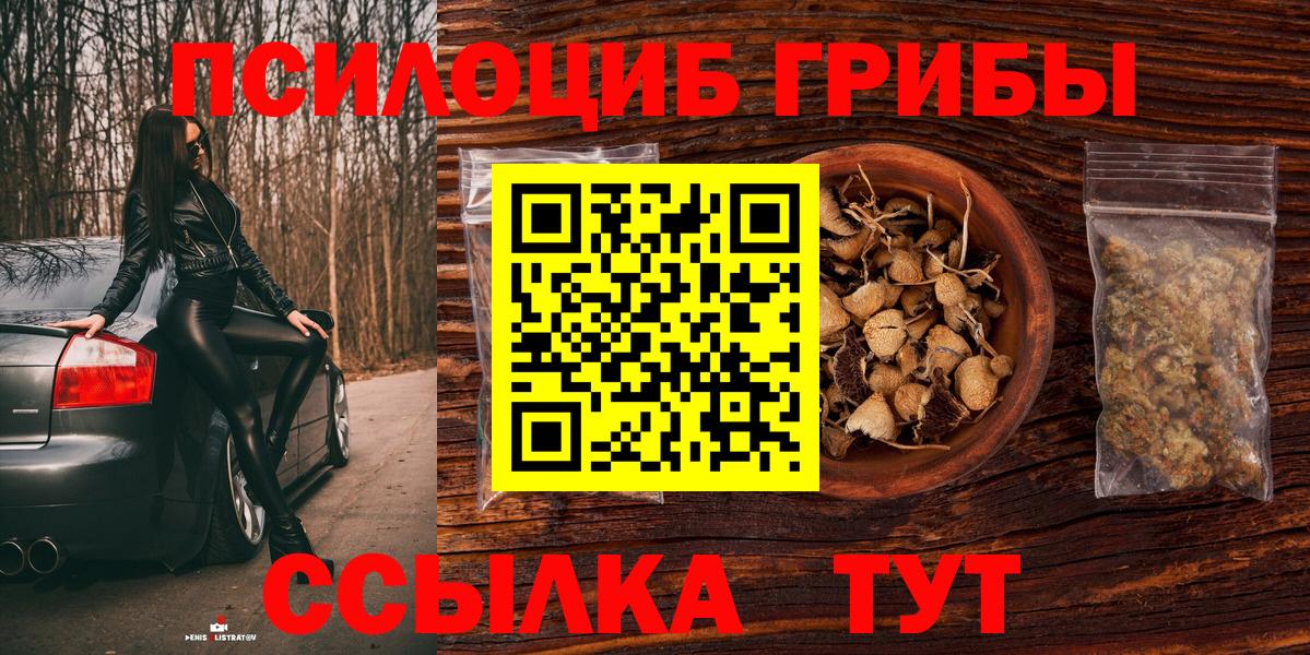 Галлюциногенные грибы MAGIC MUSHROOMS  Вход с VPN  Тельмана 